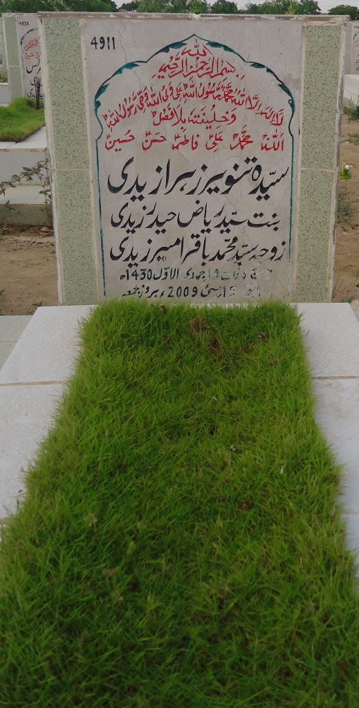 4911 – Syeda Tanver Zahara Zaidi